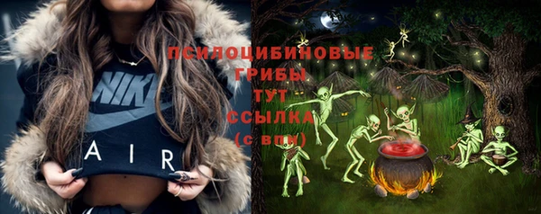 экстази Няндома