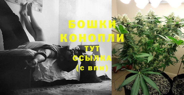 экстази Няндома