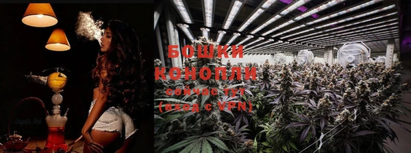 экстази Няндома