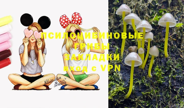 бошки Нязепетровск